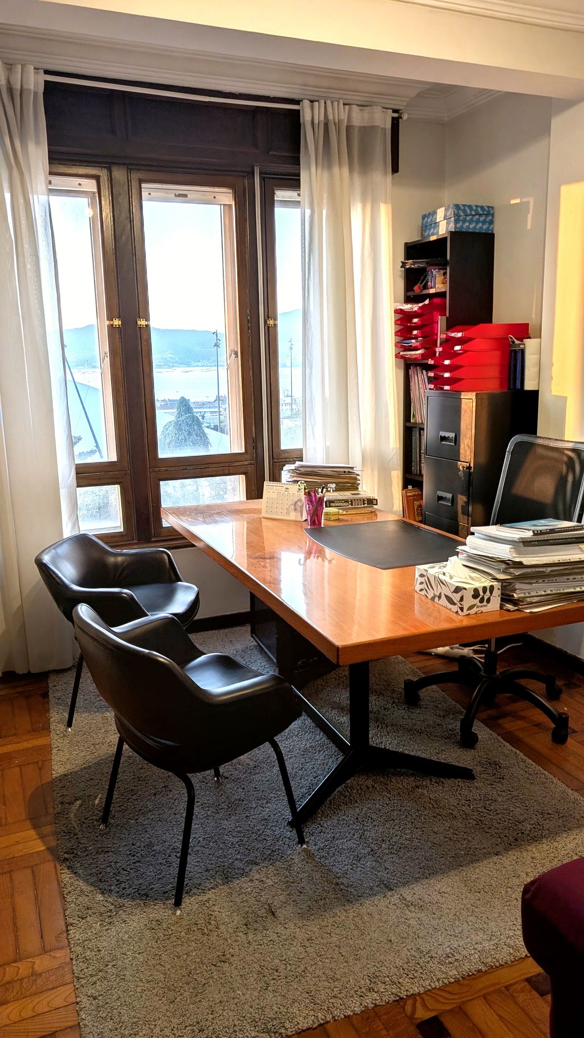 Consulta de Bregma Centro de Psicología en Vigo — despacho con vista a la ría
